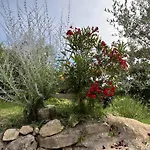 Maison Du Soleil فيلة *