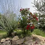 Maison Du Soleil * Mérindol-les-Oliviers