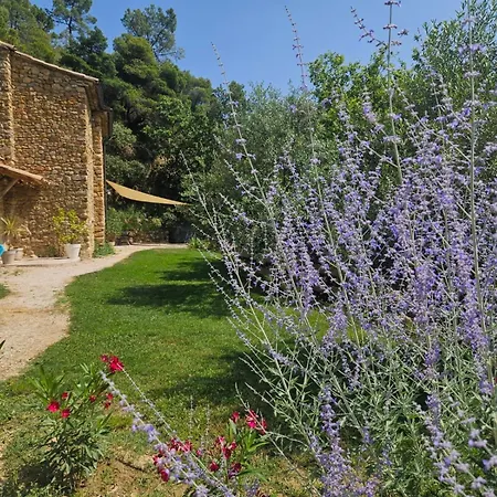 Maison Du Soleil * Mérindol-les-Oliviers