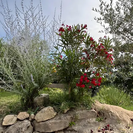 Maison Du Soleil * Mérindol-les-Oliviers
